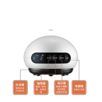 西屋 电动刮痧仪拔罐器充电刮痧板磁疗艾灸 WGS-L1