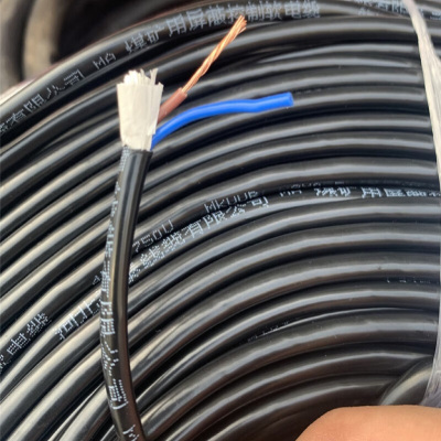 阻燃屏蔽控制电缆 MKVVRP2*1.0 规格:1米