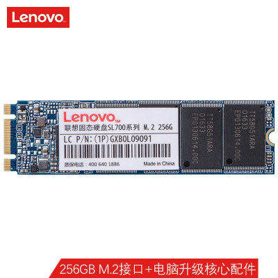 联想(Lenovo) 256GB SSD固态硬盘 M.2(SATA) SL700固态宝系列 2280板型 单位:个