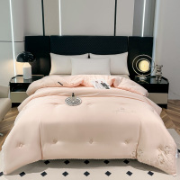 紫韵 莫代尔尊奢大豆被 ZY-DS1712 单位:件