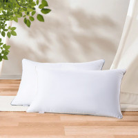 水星家纺123033春眠抗菌对枕 48*74cm(对)