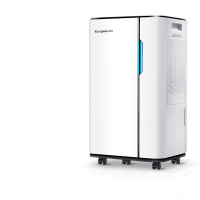 欧井(Eurgeen)除湿机/抽湿机 除湿量20升/天 适用面积40㎡ 家用地下室轻音净化干衣吸湿器 OJ-231E
