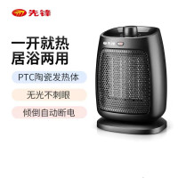 先锋台式暖风机DQ2156(DNF-N2)900W