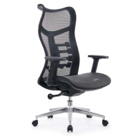 众班 黑色办公转椅 仿脊椎设计A048 |把