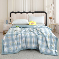 紫韵格调亲肤水洗被 ZY-BM1672 200*230cm