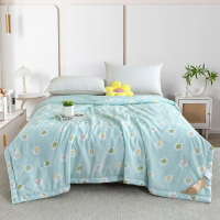 洁丽雅(grace) 浅陌花溪润肤被JLY-CB921 200*230cm