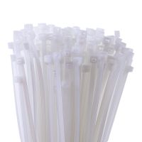 得力(deli)dl9446 自锁式尼龙扎带 理线带 线束胶带 扎线带 自锁式尼龙扎带白色(200支)