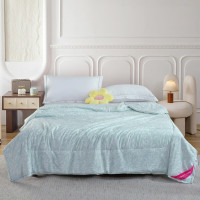 洁丽雅(grace)花间绮梦柔肤被 JLY-CB935 200*230cm