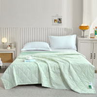 紫韵艾草芳香抗菌被-ZY-BM1686 180*200cm