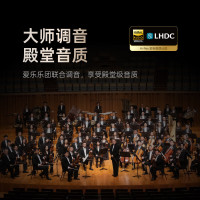 科大讯飞AI会议降噪无线蓝牙耳机Pro 3 钛金 录音翻译 智能入耳式耳机