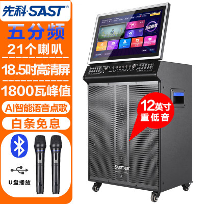 SAST WD-31户外舞台ktv音响套装点歌机一体机18.5寸屏