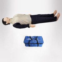 鑫亚兴心肺复苏模拟人模型 形态逼真 做工精细单位/个