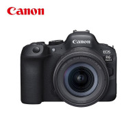 佳能(Canon)EOS R6 Mark II R6标准镜头套装二代 全画幅微单相机R62 24-105 STM单位/套