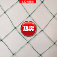 优合创佳 大棚尼龙线防鸟网养殖天网 6股3cm 4米宽 网片 单位/米