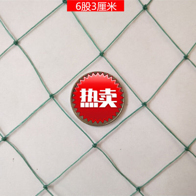 优合创佳 大棚尼龙线防鸟网养殖天网 6股3cm 4米宽 网片 单位/米