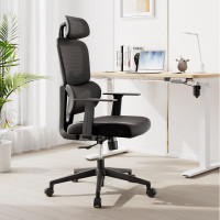 得力(deli)Surfer系列 人体工学电脑椅办公椅 2D头枕+固定扶手+3D腰靠 黑