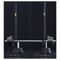 纪兵 JB-SDJ-02多功能深蹲架龙门架健身深蹲架+杠铃套装100kg(不含安装)