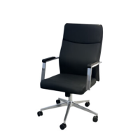 鑫亚森优办公椅电脑椅家用人体工学椅子靠背学生学习写字书房电竞游戏椅