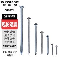 稳斯坦 WST830 水泥钢钉 铁钉 水泥钉子 木工钉 墙钉 高强度 100mm(0.4公斤)