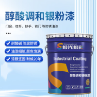 拾光拾彩 醇酸调和银粉漆 速干银粉漆 铁门管道栏杆扶手金属防锈快干油漆涂料 银色 25KG