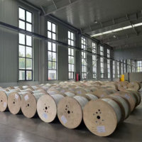 东方之光东方之光GYTS室外光缆电信级国标光缆24芯光缆层绞式单模铠装光缆户外光纤线 DFZG-GYTS-24B1.3