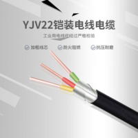 番禺五羊 电线电缆YJV22 3*6平方 3芯全项国标铜芯铠装阻燃电力线缆 1米