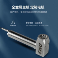 昊梦DMS深层肌肉刺 激仪松解仪dms筋膜枪 进口机芯+4个金属头