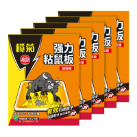 榄菊超强力粘鼠板5片老鼠贴抓老鼠捕鼠胶贴 加厚加黏