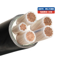 佳雁电线电缆YJV 3*25+1*16平方 3+1芯国标铜芯全项保检 1M