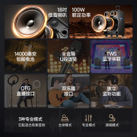 先科大功率拉杆音响ST-1001 18吋户外演出款 K歌双麦克风套装