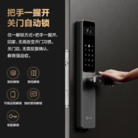 萤石DL20FV木门版标准锁 3D人脸识别指纹握开式视频锁