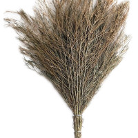 九州筑竹制大扫把 2.3斤连体 单位:把