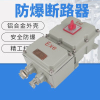 AJ TM防爆断路器 BX-DZ 220V/2P 32A 带漏电保护[定制]