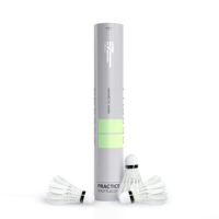 南极风PR5000羽毛球 鸭毛耐打专业比赛训练户外运动装备 复合软木 1筒[共12只]76速