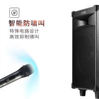 漫步者12英寸舞台户外移动音箱PW312 露营电木吉他民谣乐