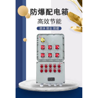 申远防爆配电箱配电柜防爆控制照明箱300*600*150mm 16回路