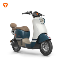 雅迪M20新国标通勤代步通用电瓶车48V20AH 颜色自选