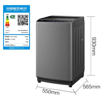小天鹅波轮洗衣机全自动 纯净系列 10公斤大容量银离子除菌TB100V63WDAB