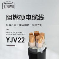 卫家邦电线电缆YJV22 4*35+1*16平方 国标铜芯5芯铠装地埋电缆线 1米