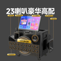惠威家庭ktv音响套装广场舞音响带显示屏户外音响k歌专用带声卡一体机家用移动卡拉ok大功率大音量TS26