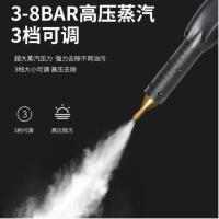 博赫尔(POHIR)工业清洗机 商用高温高压蒸汽清洗机洗车机 Z38工业款