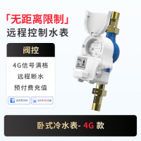 施王物联远传物联网预付费智能出租房手机远程充值缴费抄读水表 卧式/阀控/冷水表-4G款 4分管(口径15mm)