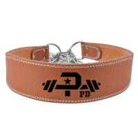 POWER DRAGON健身负重腰带PD力量举引体向上臂屈伸 深蹲加粗铁链 棕色