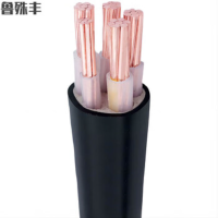 鲁殊丰YJV铜芯电缆线平5芯户外电线-国标铜芯5×25平方 1米价
