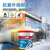 立邦外墙防水涂料透明防水 5kg*2 堵漏胶渗透型 [外墙/窗台专用]