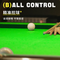 威仕顿台球桌布台尼加厚绒 赛级黑八九尺底布+边布[含安装]