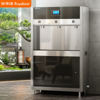 荣事达RSD-3A开水器直饮水机(触控出水一开二温)+五级超滤