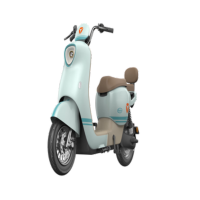 雅迪M20电动车电动自行车 25新国标可上牌