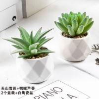 Homeglen防真多肉假花绿植小盆栽(天山雪莲+鸭嘴芦荟)白陶瓷盆
