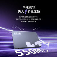 致态长江存储 1TB SSD固态硬盘 SATA 3.0 接口 致态小翼S001系列